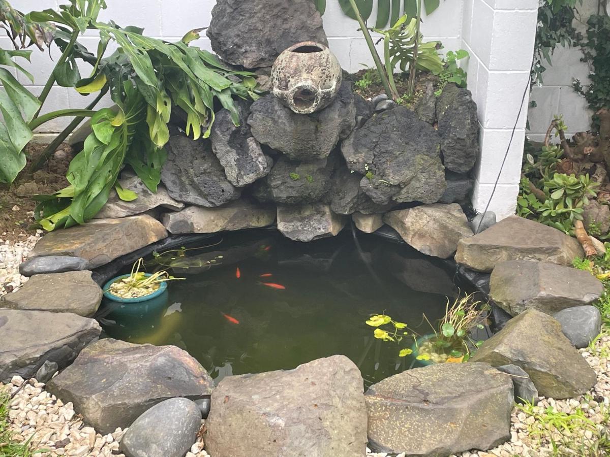 Your Home In Cockle Bay オークランド エクステリア 写真